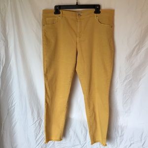 Loft unfinished hem ankle jean. Mustard yellow